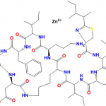 Bacitracin Zinc API