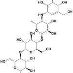 Acarbose API
