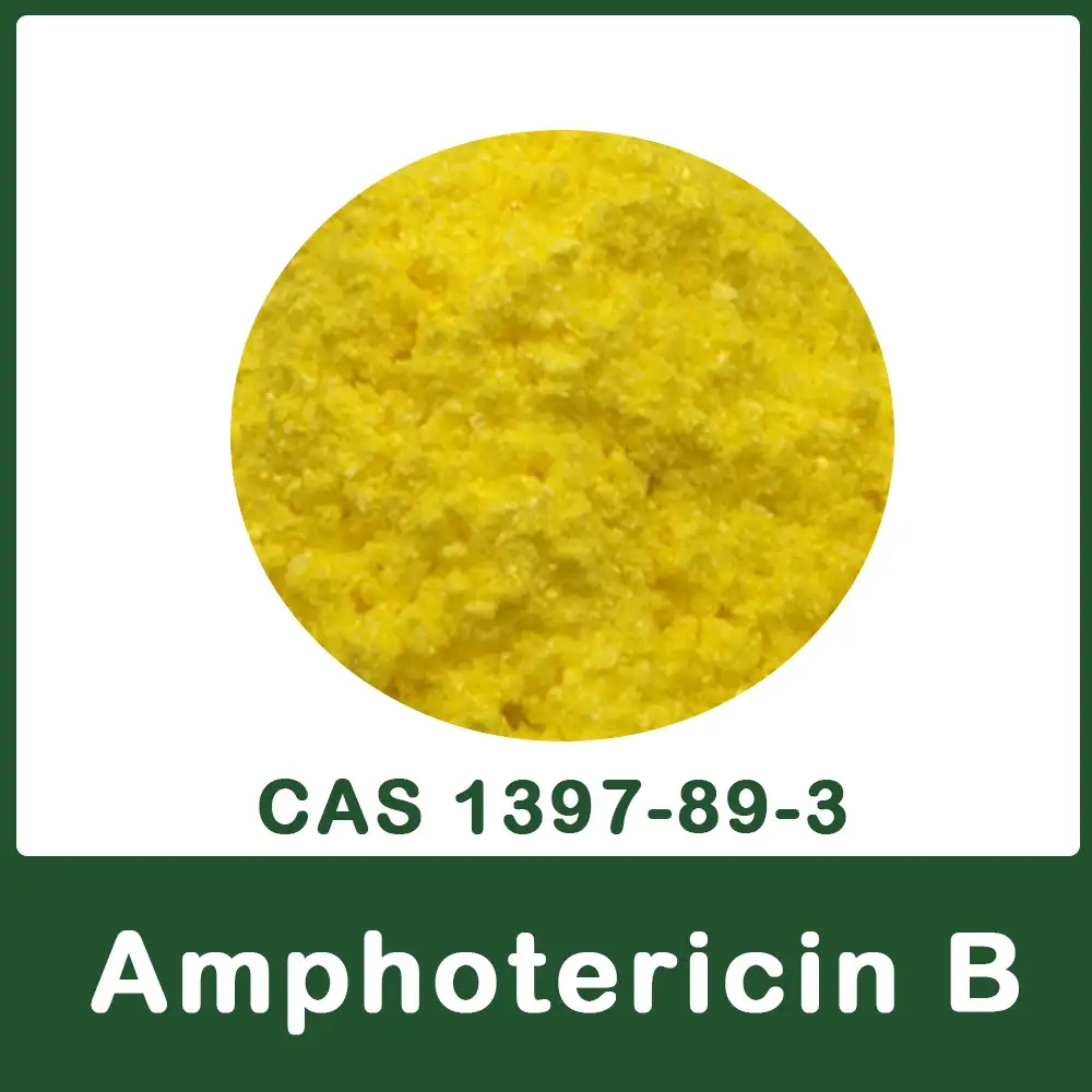 Amphotericin B API Appearance