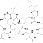 99% Bacitracin API with GMP