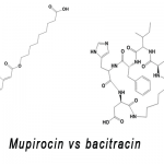 Mupirocin vs bacitracin in chemical structure