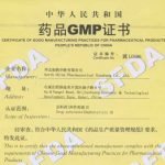 amphotericin B GMP Copy