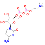 99% Citicoline API with GMP