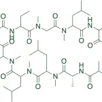 Cyclosporine API
